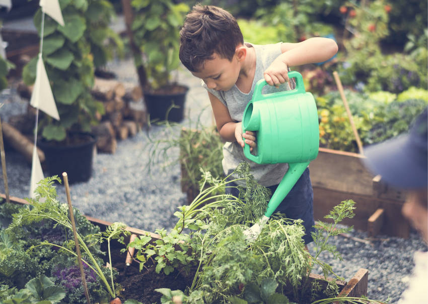 Young Gardener